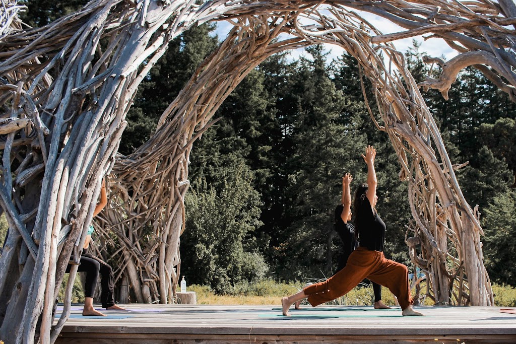 Hornby Island Yoga Dome | Little Tribune Bay Rd, Hornby Island, BC V0R 1Z0, Canada | Phone: (250) 797-1588