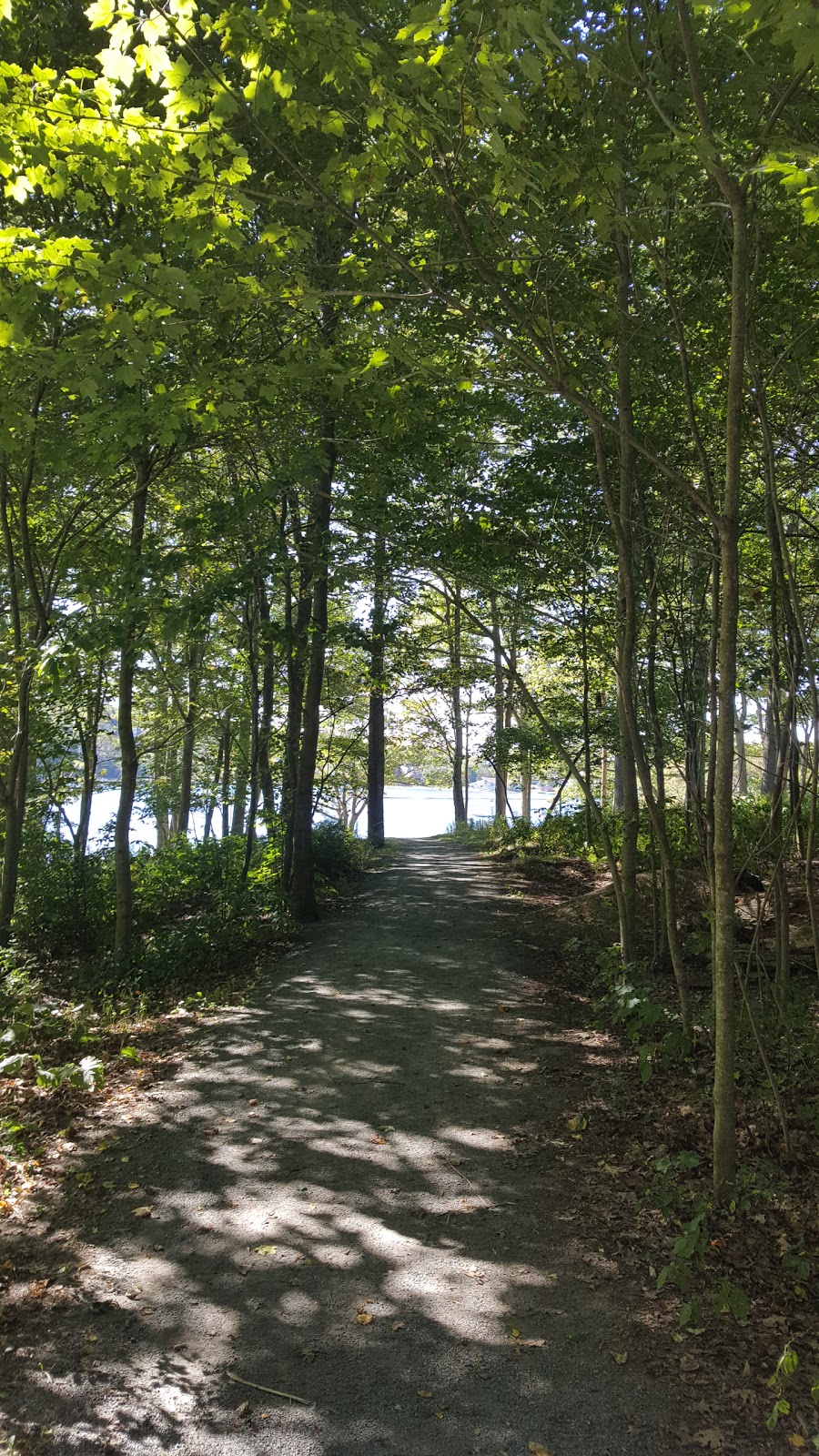 Birch Cove Park | 44 Oakdale Crescent, Dartmouth, NS B3A, Canada