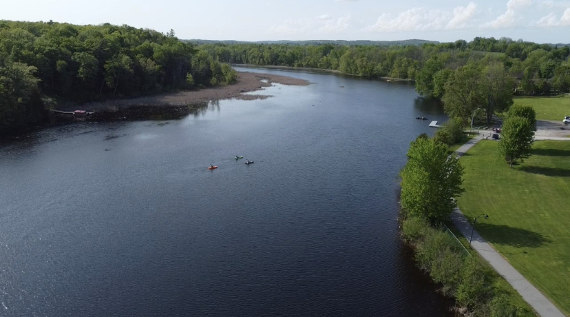 The Wild Life Rentals - Kayak and Paddle Board Rentals | 10 Forsyth St, Marmora, ON K0K 2M0, Canada | Phone: (613) 921-3802