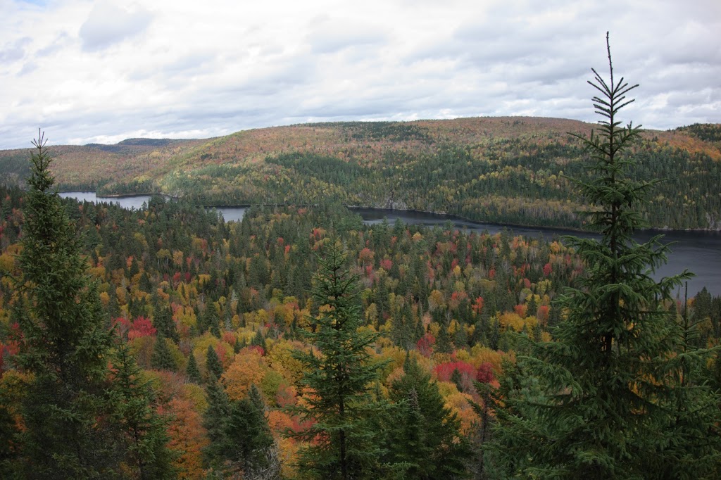 Sentier Rivière Shawinigan | 2812 Rue Trudel, Shawinigan, QC G9N 6T6, Canada