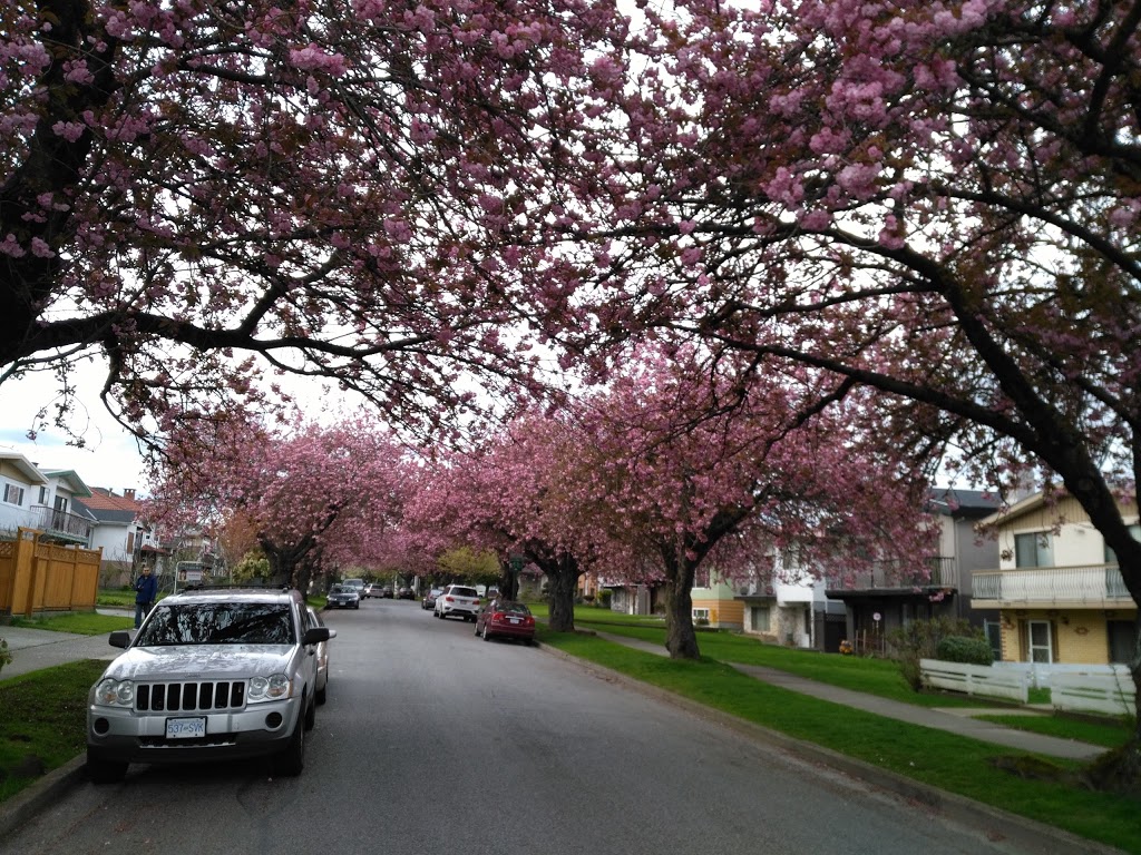 Ross Park | 7402 Ross St, Vancouver, BC V5X 4B7, Canada | Phone: (604) 873-7000