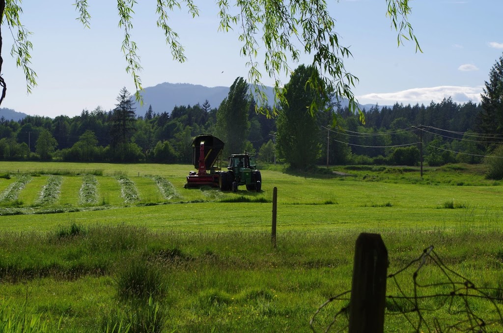 The Cabin at Shannon Farms | 8865 Beaver Creek Rd, Port Alberni, BC V9Y 8N8, Canada | Phone: (250) 720-5867