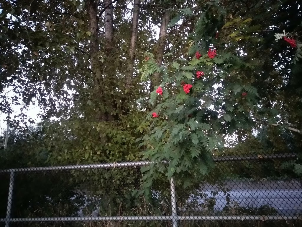 Old Schoolhouse Park | 518 Ewen Ave, New Westminster, BC V3M 5B1, Canada | Phone: (604) 521-3711