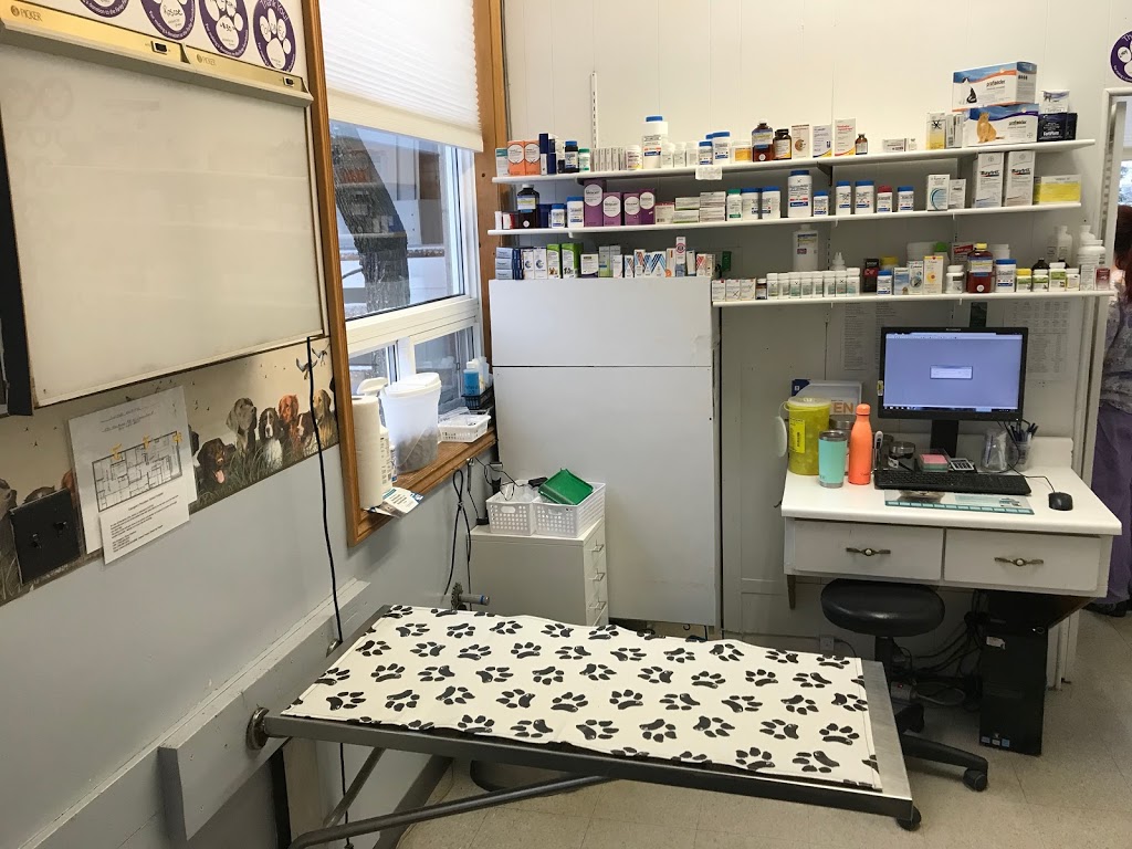 Animal Hospital | 571 Muskoka Rd N, Gravenhurst, ON P1P 1E7, Canada | Phone: (705) 687-6663