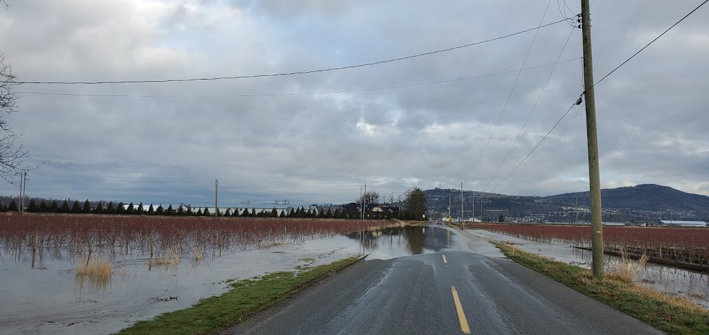 Jem Farms | 35073 Boundary Rd, Abbotsford, BC V2S 7L8, Canada | Phone: (604) 850-0216