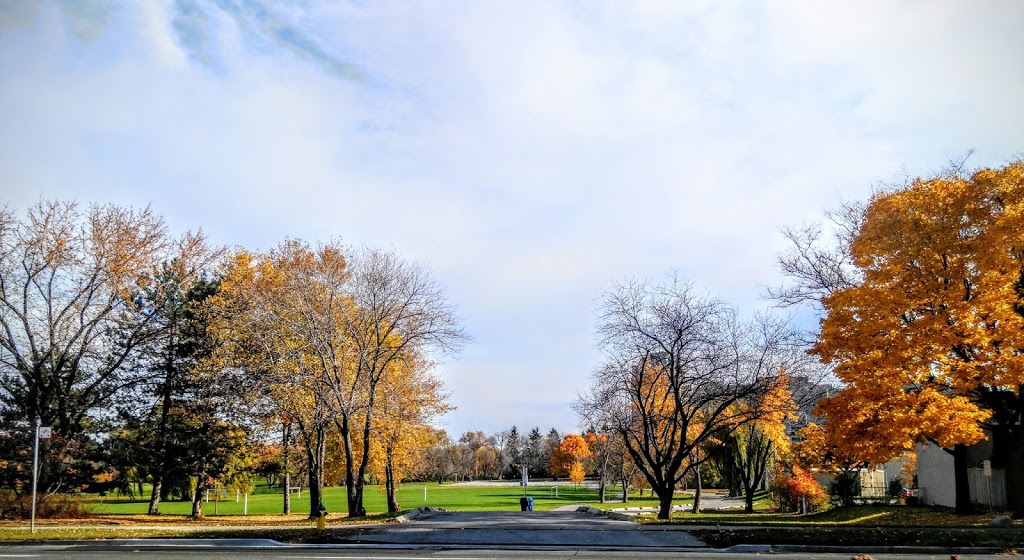 Ron Watson Park | 140 Bonis Ave, Toronto, ON M1T, Canada