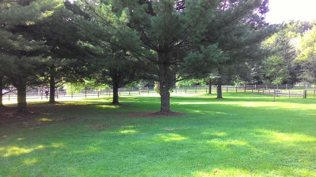 Earl Bales Dogs Park | Lansing, Toronto, ON M3H 3P7, Canada