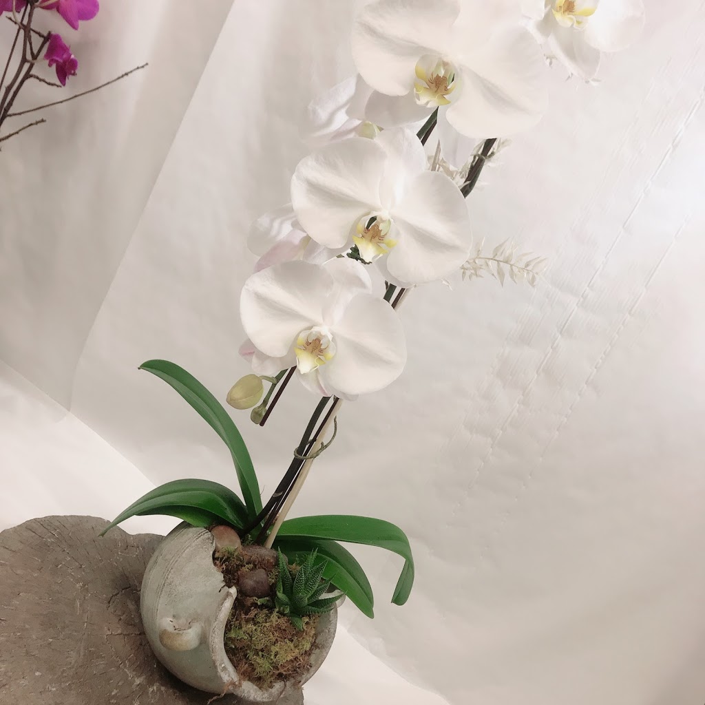Bloom Plus | 3160 Yonge St, Toronto, ON M4N 2K6, Canada | Phone: (416) 322-0088