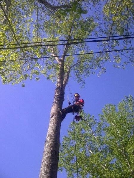 Entreprise Emondage Tanguay Inc | Rue 1, Saint-Jean-Baptiste, QC J0L 2B0, Canada | Phone: (514) 730-2664