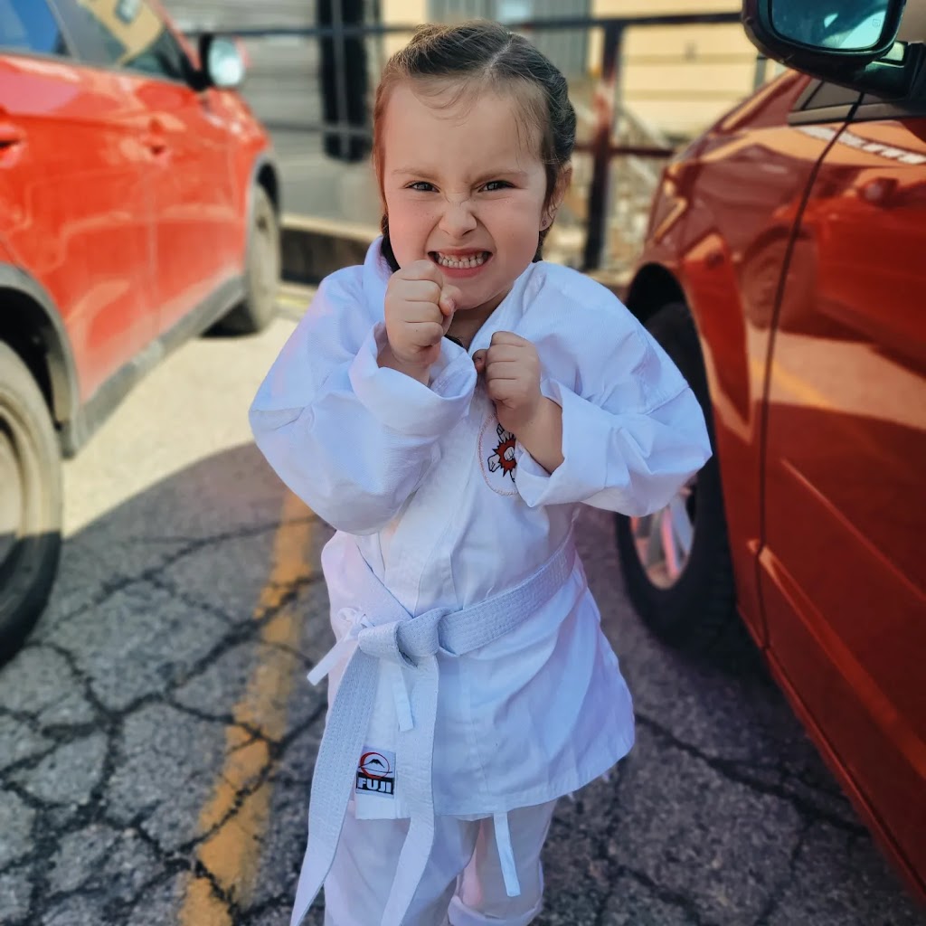 Legacy Shorin Ryu Karate Jutsu | 1 Silver St, St Thomas, ON N5P 4L8, Canada | Phone: (519) 872-2418