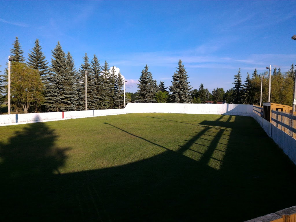Larose Park Rink | 135 Larose Dr, St. Albert, AB T8N 2X7, Canada | Phone: (780) 459-1575
