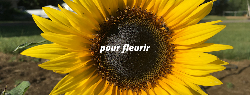 Enracinés - fermette & jardinerie | 2e, Avenue 1 Domaine Morin #317, Saint-Gabriel-de-Brandon, QC J0K 2N0, Canada | Phone: (514) 717-2915