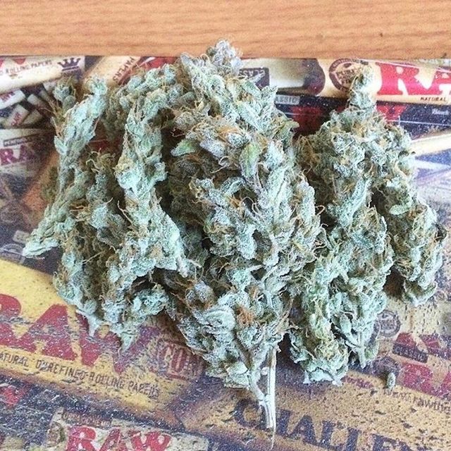 Ottawa Dispensary Delivery Online | 2730 River Rd, Manotick, ON K4M 1B4, Canada | Phone: (613) 801-8804