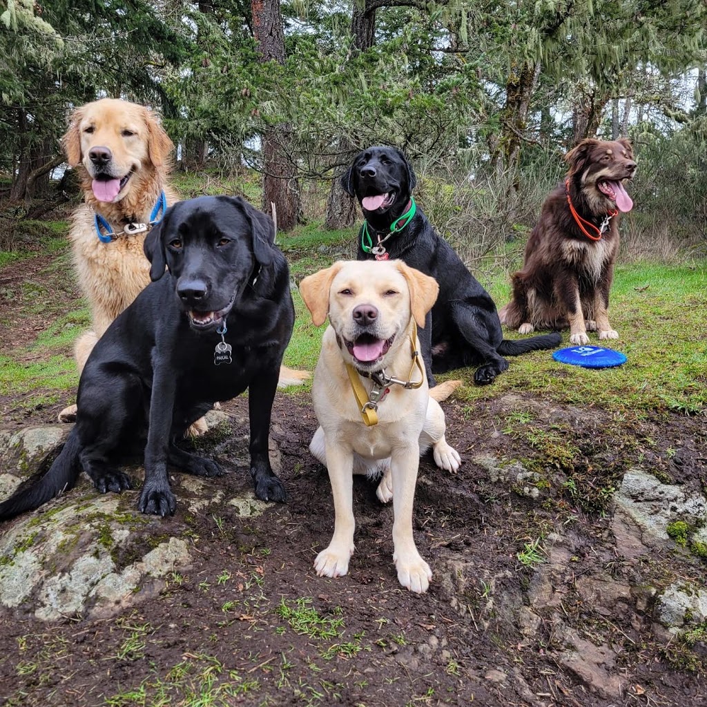 Pacific Dogwood Dogs | Adventure Dog Walker & Boarding | 2866 Leigh Rd, Langford, BC V9C 2P6, Canada | Phone: (250) 667-3704