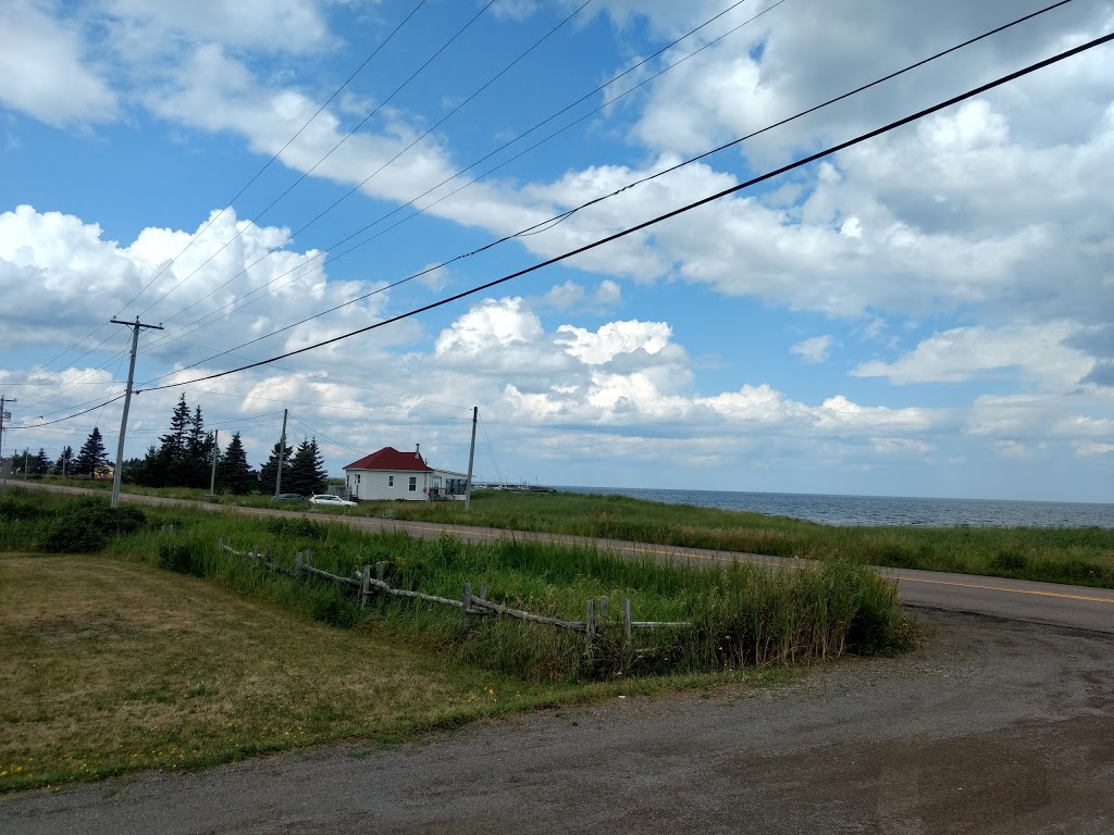 Chez les Maury Camping - Vignoble | 2021 NB-475, Saint-Édouard-de-Kent, NB E4S 4W2, Canada | Phone: (506) 743-5347