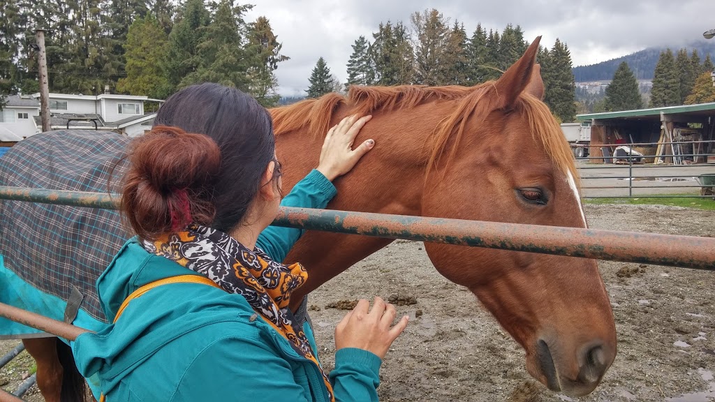 Northside Stable | 1136 Devon Rd, Coquitlam, BC V3E 3H8, Canada | Phone: (604) 765-3671