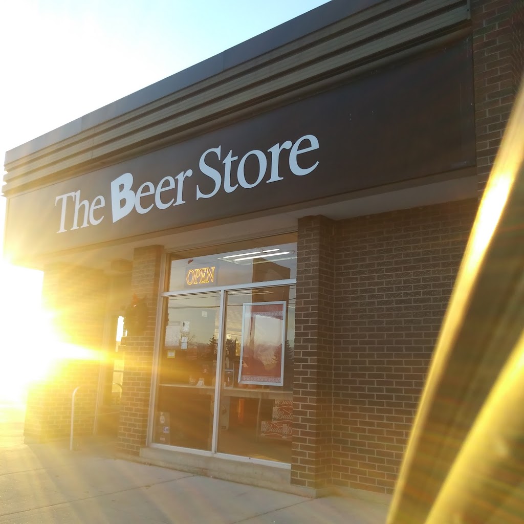 Beer Store | 55 Main St N, Hagersville, ON N0A 1H0, Canada | Phone: (905) 768-1064