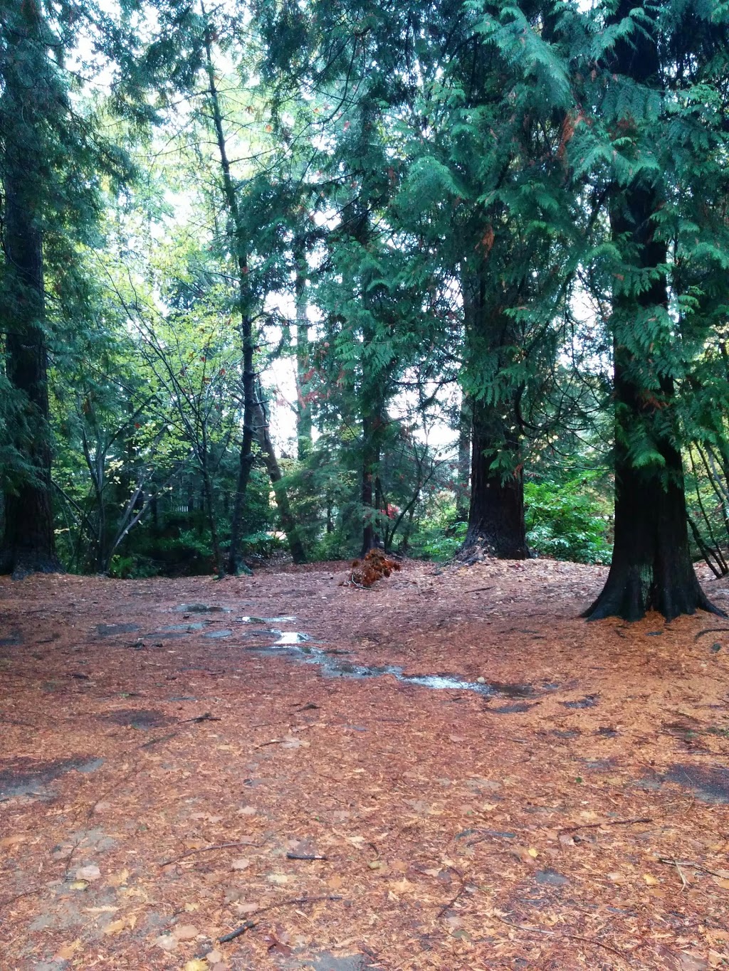 Chatwin Park | West Vancouver, BC V7T, Canada