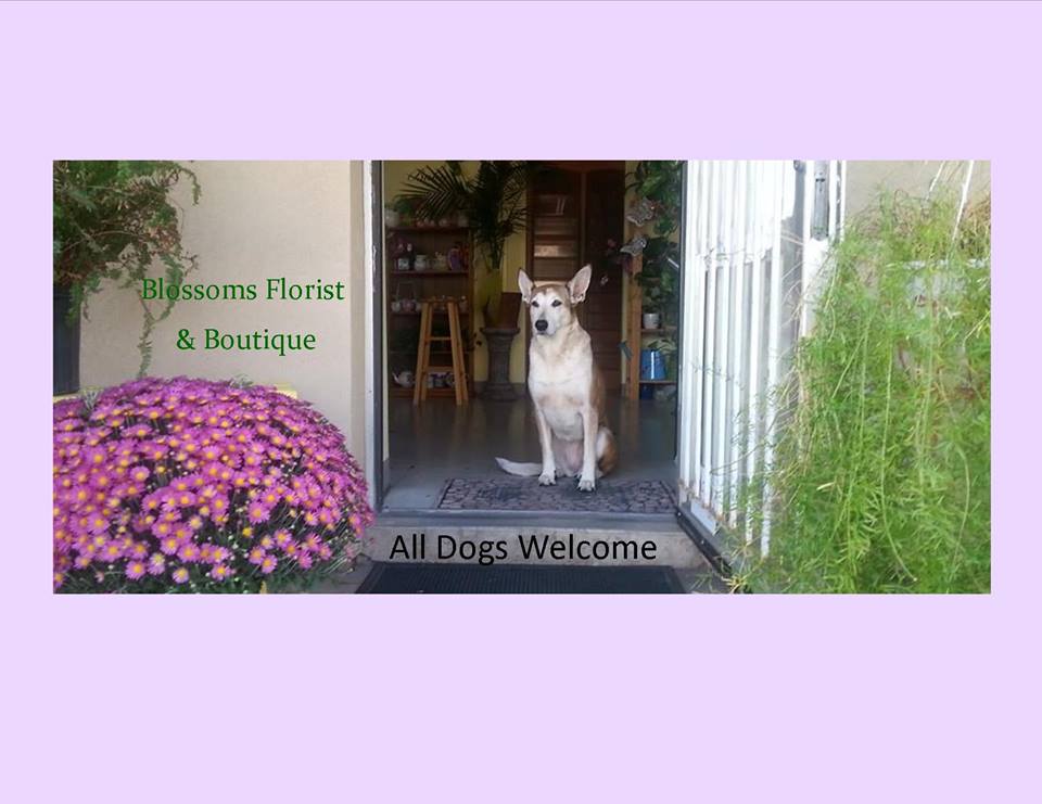 Blossoms Florist & Boutique | 265 Thomas St, Deseronto, ON K0K 1X0, Canada | Phone: (613) 547-5131