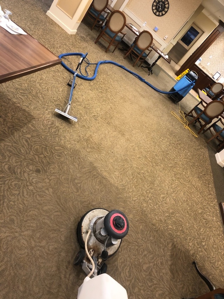 Diamond Carpet Cleaning | 1376 Winnipeg Ave W, Winnipeg, MB R3E 0S6, Canada | Phone: (204) 783-9915