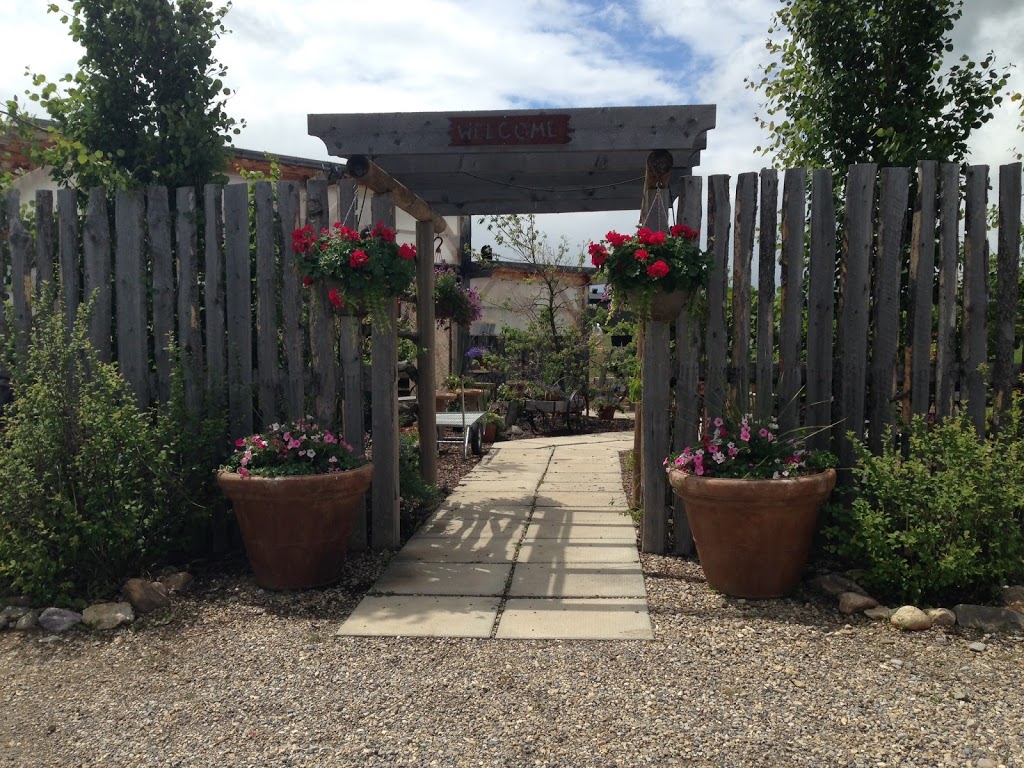 Badger Ridge Greenhouse | Crossfield, AB T0M 0S0, Canada | Phone: (403) 946-0200