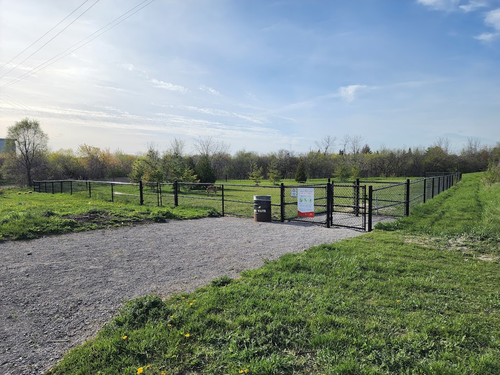 Malton Leash-Free Zone | 3430 Derry Rd E, Mississauga, ON L4T 1A9, Canada | Phone: (905) 615-4311