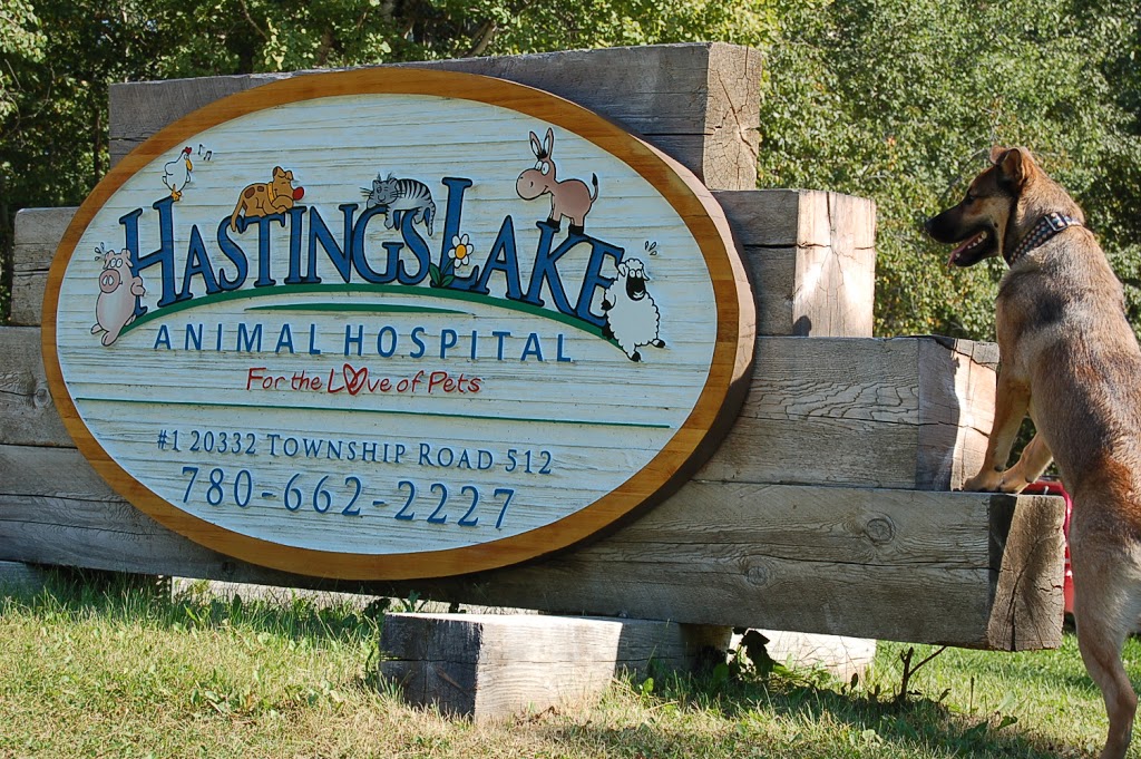 Hastings Lake Animal Hospital | #1 20332, Township Rd 512, Sherwood Park, AB T8G 1E8, Canada | Phone: (780) 662-2227