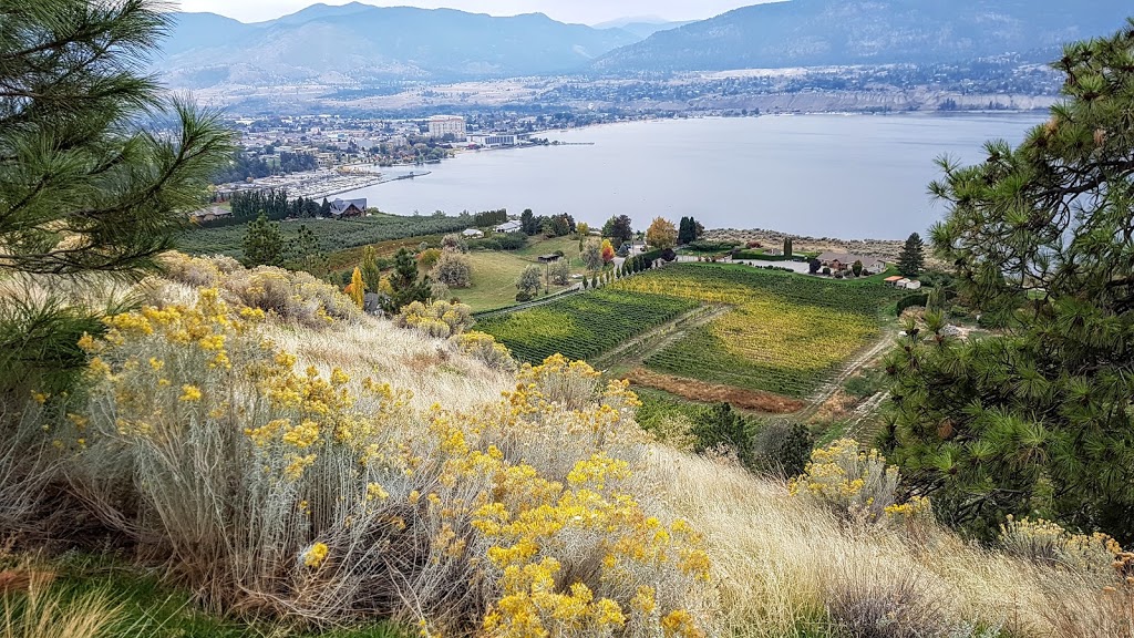 Munson Mountain Park | 49°3049. 119°3427., 4 BC-1A, Vancouver, BC V5T 3H9, Canada | Phone: (250) 490-2400