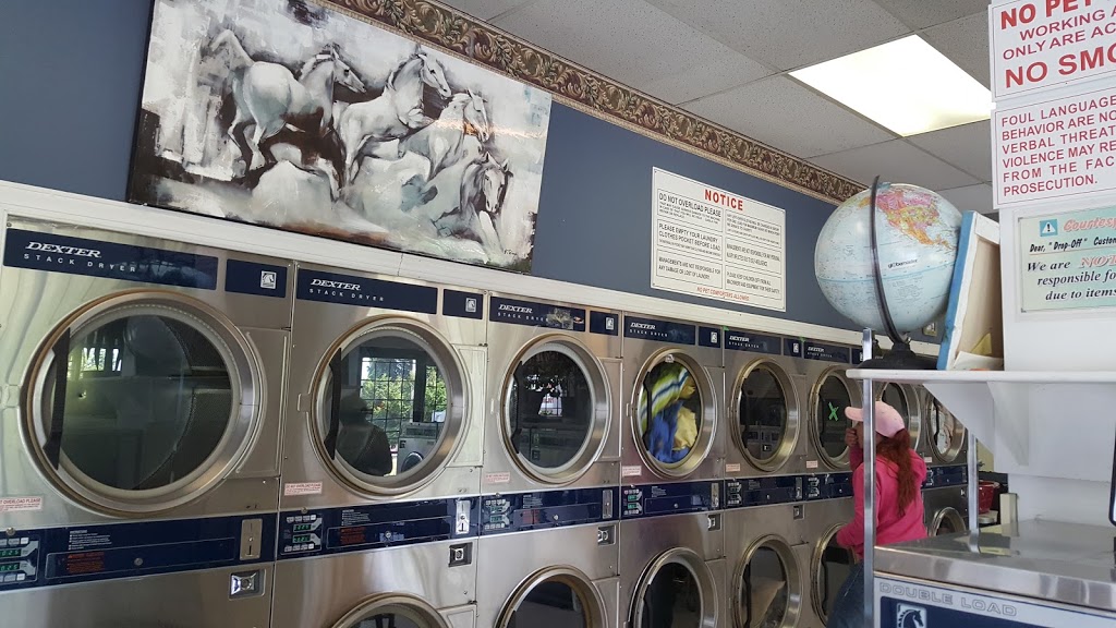 Corner Coin Laundry | 13654 Grosvenor Rd, Surrey, BC V3R 5C9, Canada | Phone: (604) 582-4111