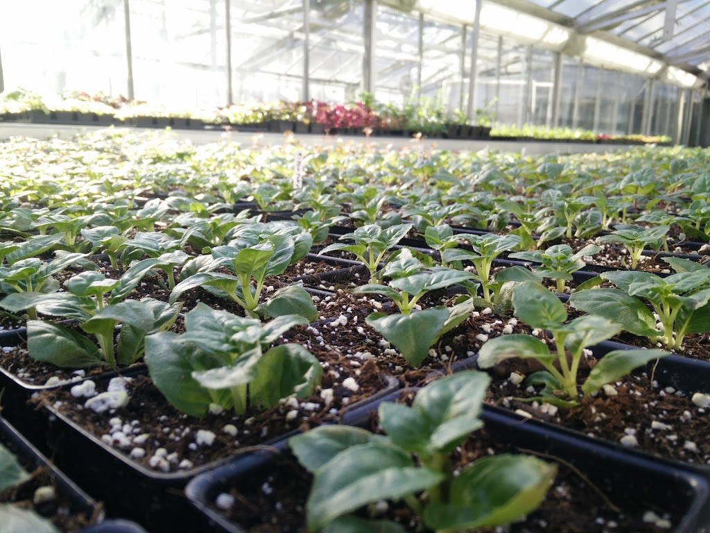 Queens Park Greenhouse | 51 3rd Ave #800, New Westminster, BC V3L 1L7, Canada | Phone: (604) 527-4567
