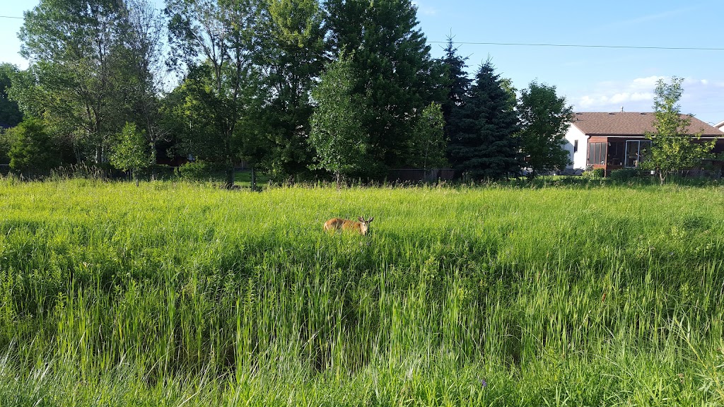 Hackers & Smackers Golf Driving Range | 921 Elmhurst Rd, Winnipeg, MB R3R 3X8, Canada | Phone: (204) 897-4747