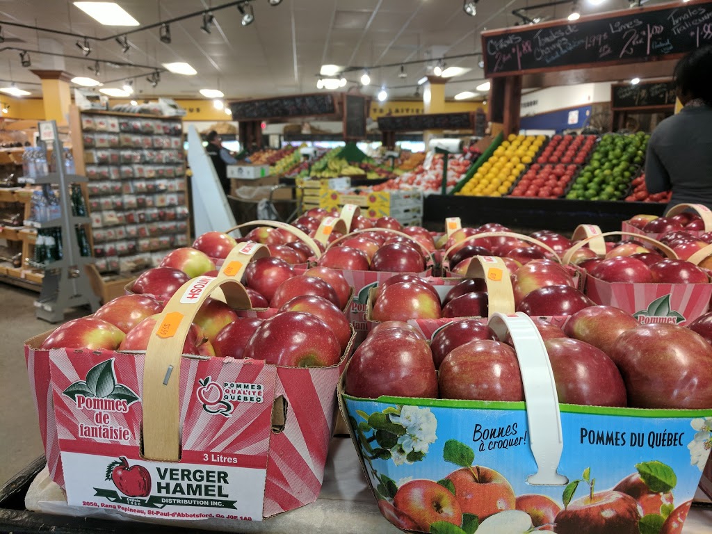 Fruiterie Wakim | 425 Bd la Vérendrye E, Gatineau, QC J8R 2W8, Canada | Phone: (819) 663-4411