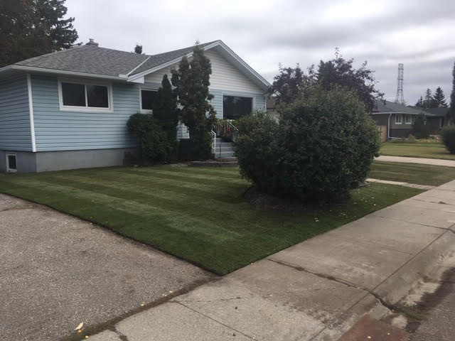 Scott’s Sod Sales & Installation Inc. | 51 Canoe Square SW, Airdrie, AB T4B 2N5, Canada | Phone: (403) 890-2267