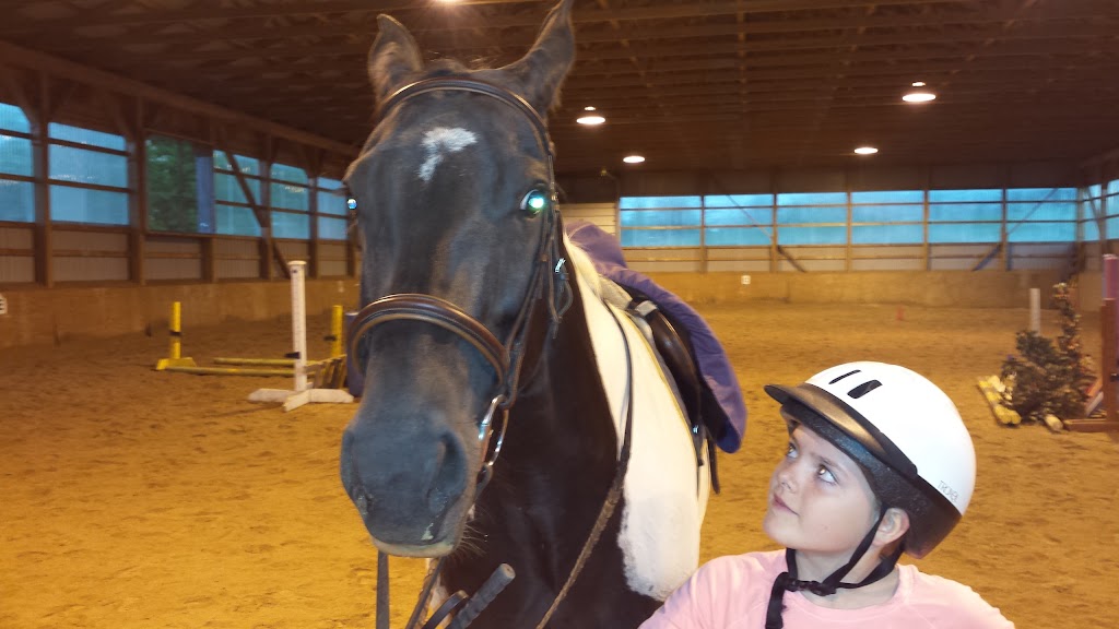 Northfield Farm | 8368 ON-7, Rockwood, ON N0B 2K0, Canada | Phone: (519) 856-1434