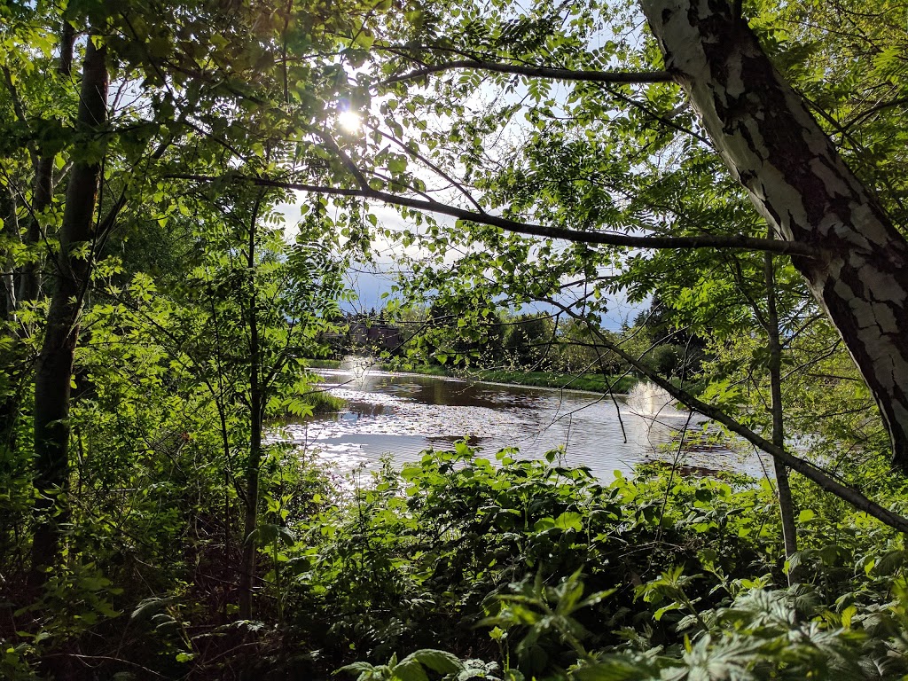 Garden City Park Lagoon | 6740 Garden City Rd, Richmond, BC V6Y 1P8, Canada