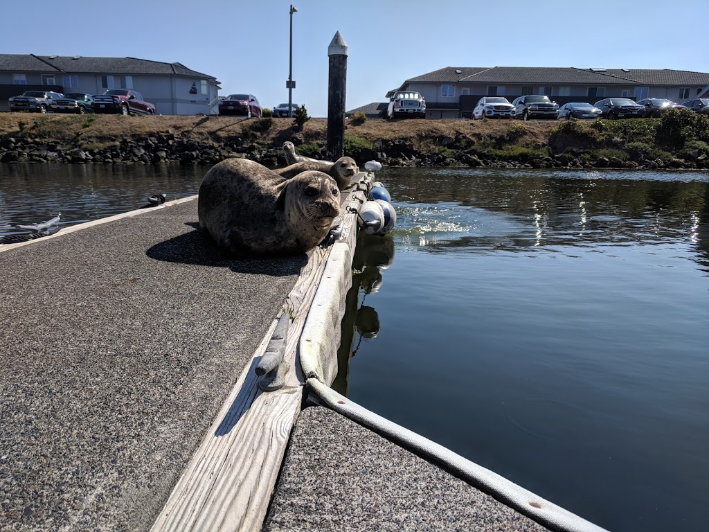 Skyline Moorage | 2201 Skyline Way #103, Anacortes, WA 98221, USA | Phone: (360) 293-1255
