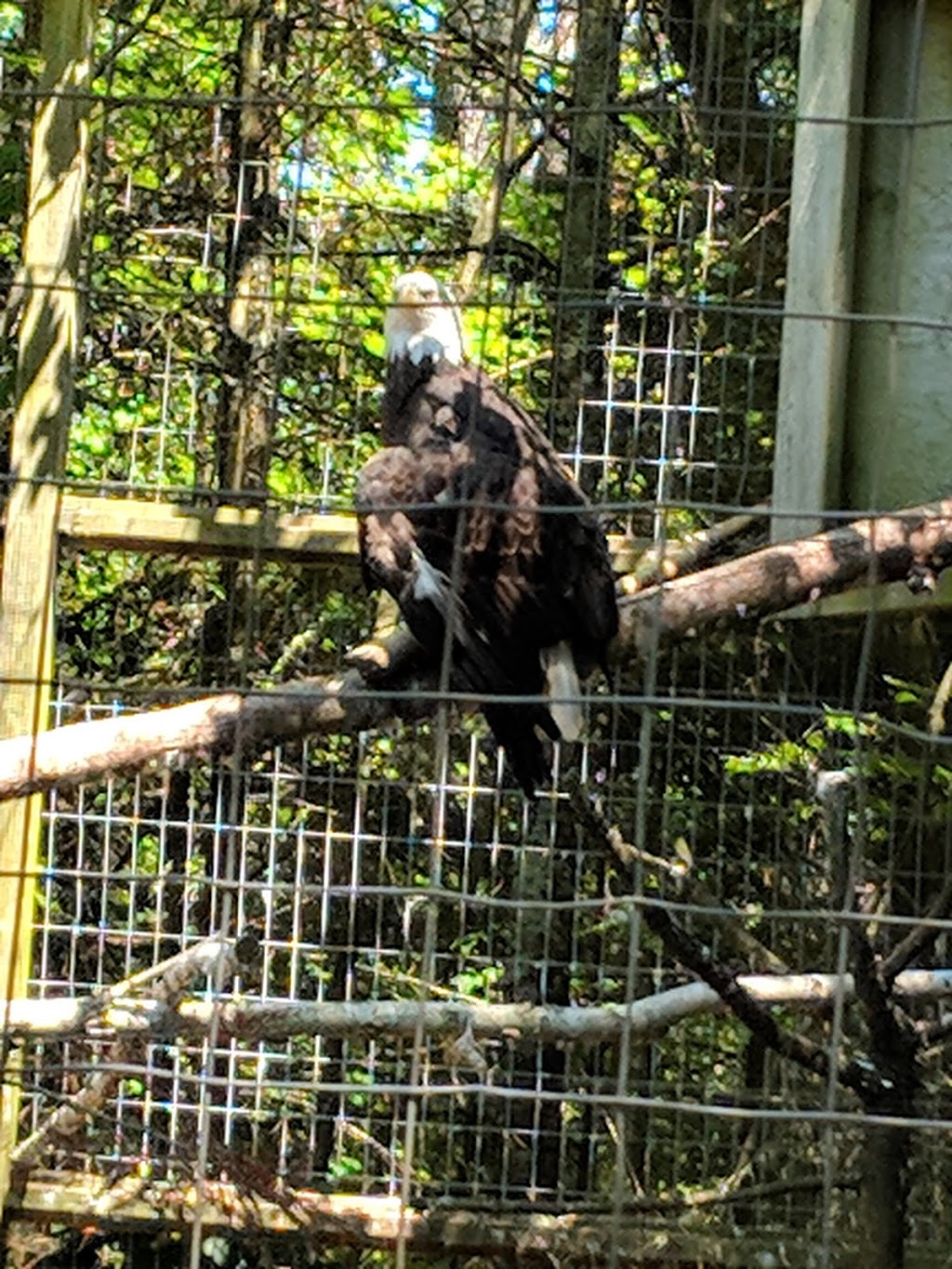 Shubenacadie Provincial Wildlife Park - 149 Creighton Rd, Shubenacadie ...