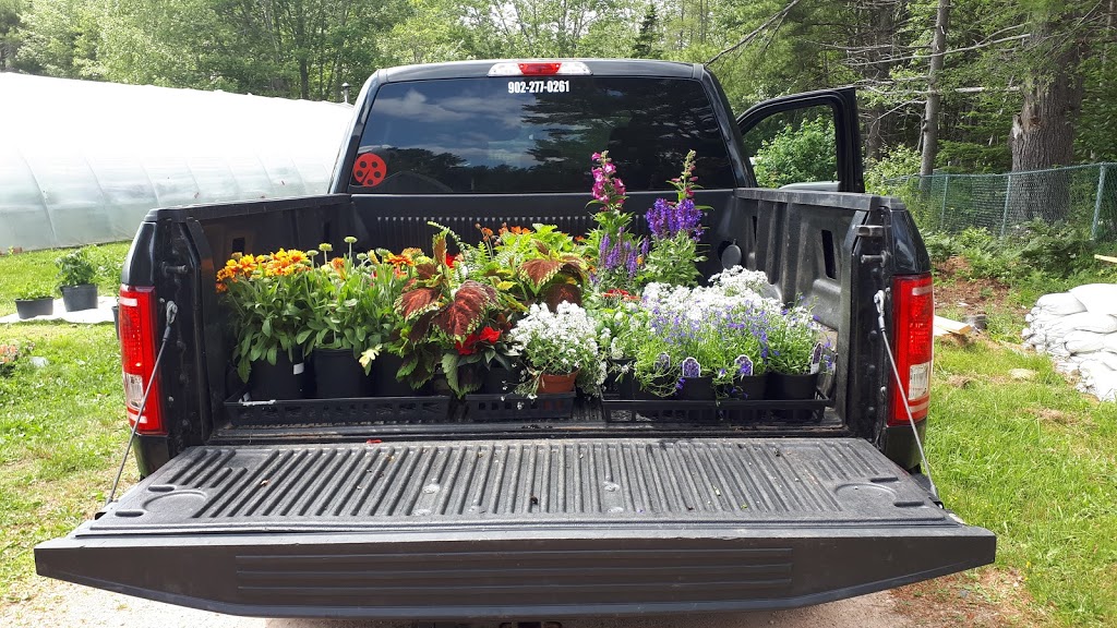 Daphnes Floral Design | 6600 Trunk #3, Western Shore, NS B0J 3M0, Canada | Phone: (902) 627-1088