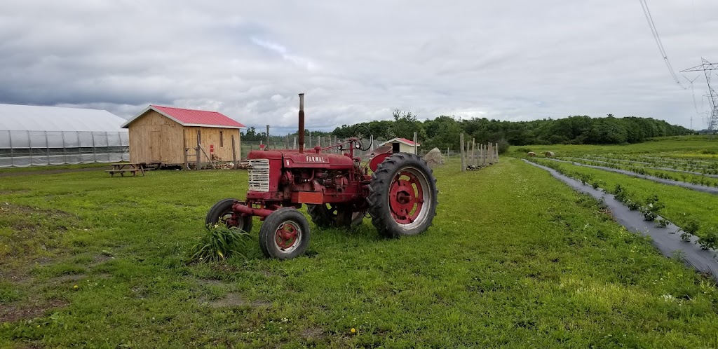 Les jardins de Lévis | 400 Chem. Saint-Roch, Lévis, QC G6Y 0V6, Canada | Phone: (418) 833-5107