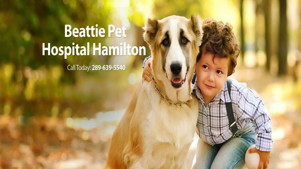Beattie Pet Hospital Ancaster - Hamilton | 34 Stone Church Rd, Ancaster, ON L9K 1S5, Canada | Phone: (289) 639-5540