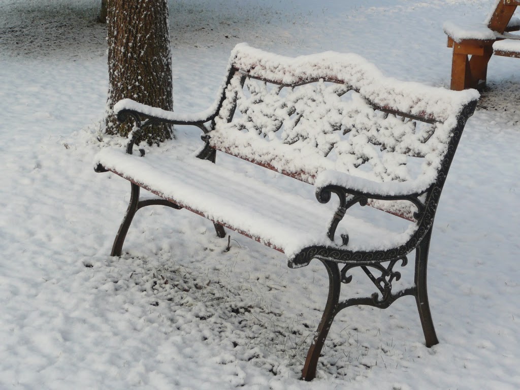 Hidden Meadow Inn | 1950 Sober St, Norfolk, NY 13667, USA | Phone: (315) 384-3234