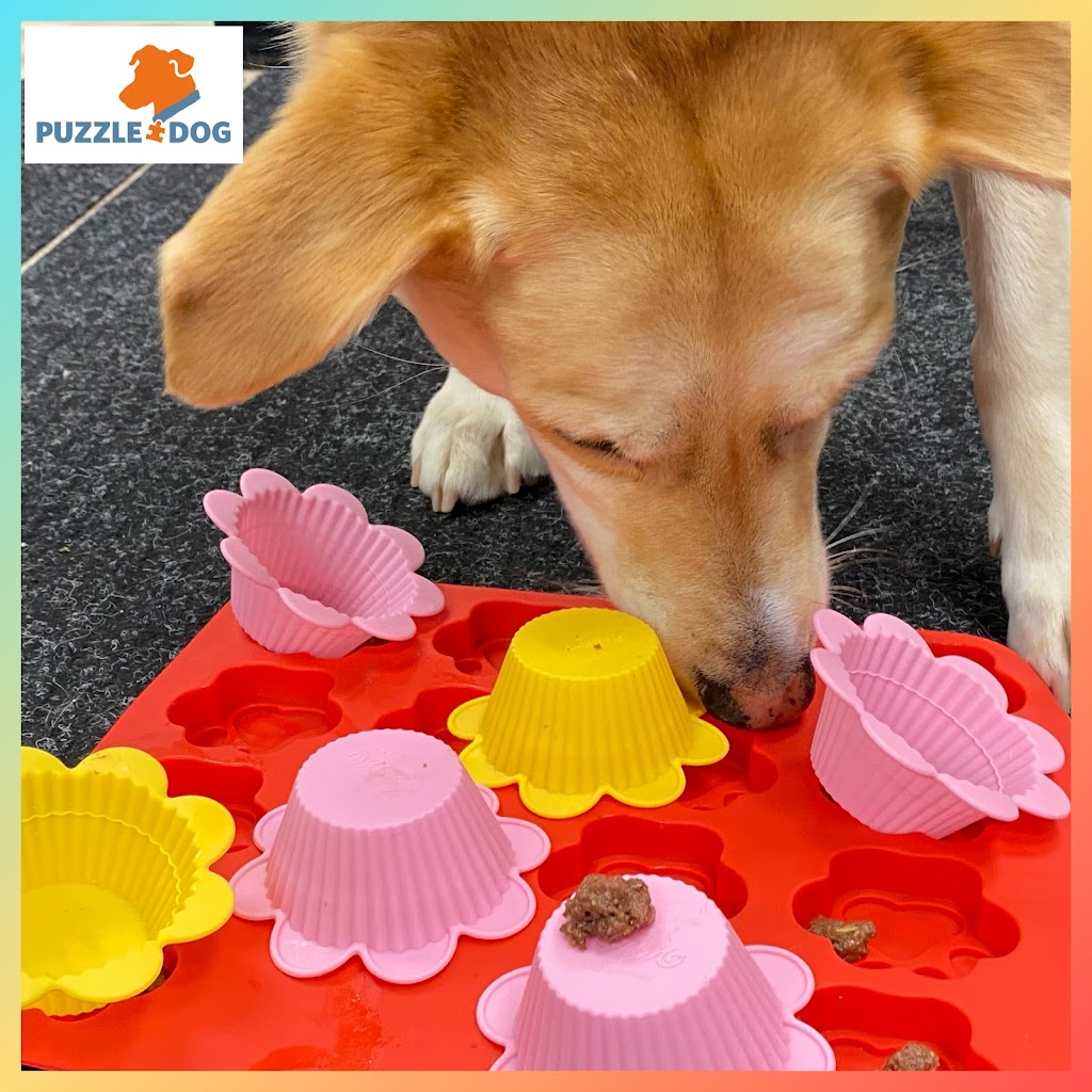Puzzle Dog | 37 Lakewood Drive Extension, Newport, NS B0N 2A0, Canada | Phone: (902) 229-2335