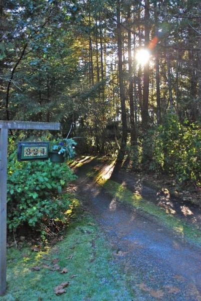 Susan de Stein, REALTOR® | 101 - 170 Fulford-Ganges Rd, Salt Spring Island, BC V8K 2T8, Canada | Phone: (250) 537-7943