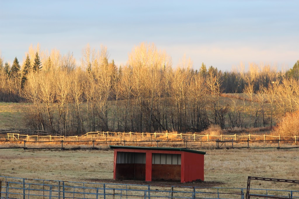 Saddle Creek Ranch Ltd | 22347 Wye Rd, Sherwood Park, AB T8C 1H7, Canada | Phone: (780) 907-9577
