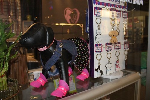 K9 Spaw | 384 Yonge St, Unit 13 Aura Concourse Market - Concourse Level, Toronto, ON M5B 1S8, Canada | Phone: (647) 961-7729