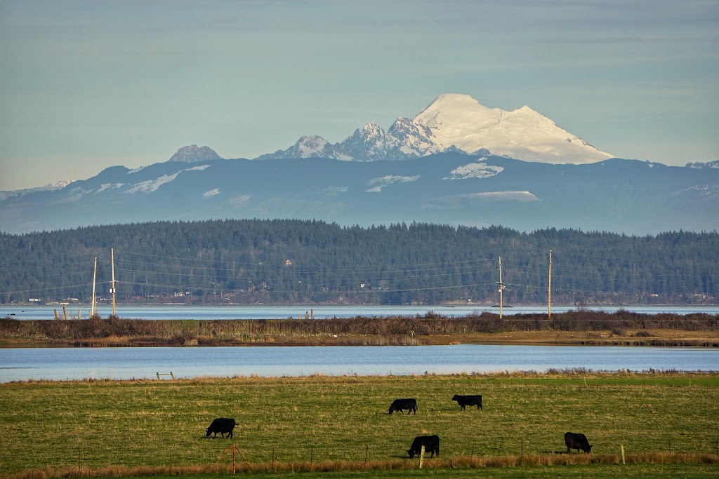 SOUNDVIEW SHOPPER | 39757 WA-20, Oak Harbor, WA 98277, USA | Phone: (360) 675-6132