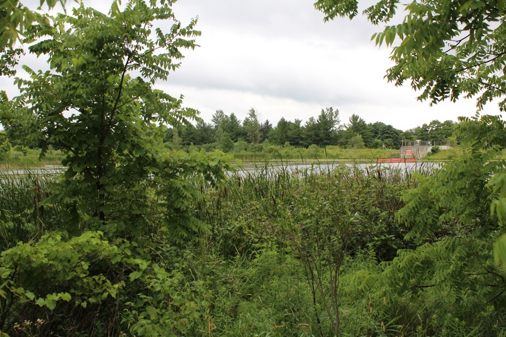 RESERVOIR/CONSERVATION AREA | Whitchurch-Stouffville, ON L0G, Canada