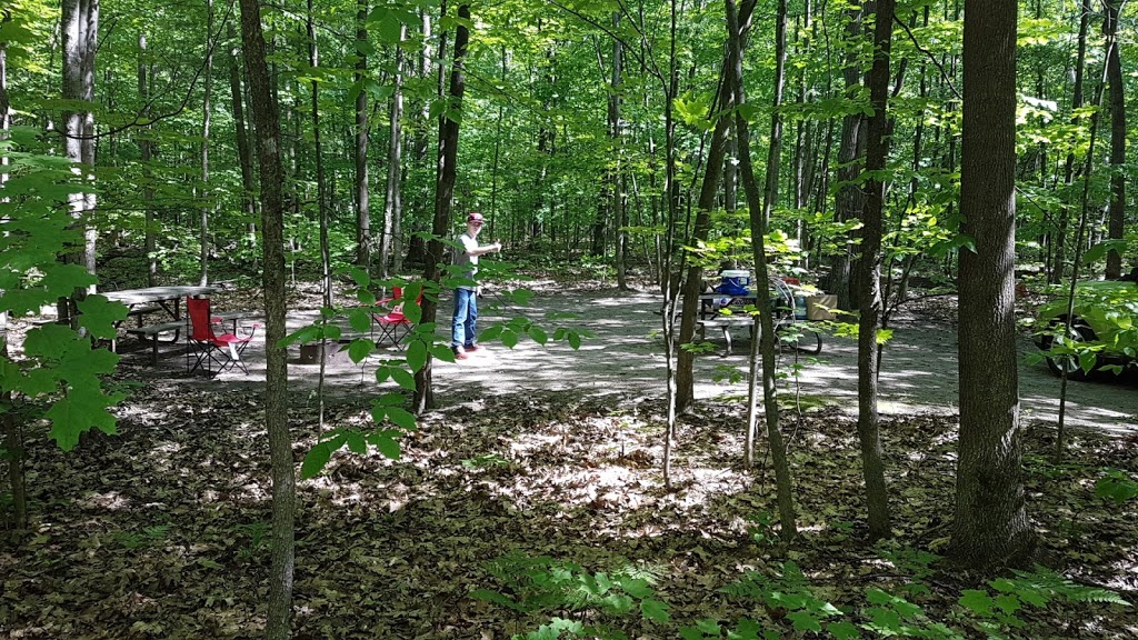 Turtle Campground | Tiny, ON L9M 1R2, Canada | Phone: (705) 549-2231
