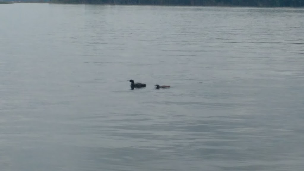 Northwest Basin Marina | 579 Champlain Rd, Tiny, ON L9M 0C2, Canada | Phone: (705) 549-2655