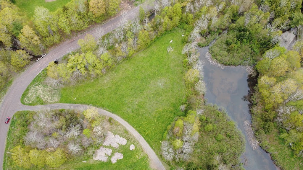 Granny Fox Garden | Willard Fraser Rd, Brookville, NS B2H 5C7, Canada | Phone: (780) 893-3844